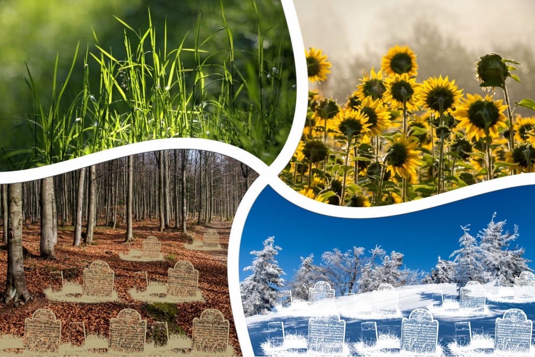 Seasonal Guide to Keeping a Loved Ones’ Resting Place Tidy