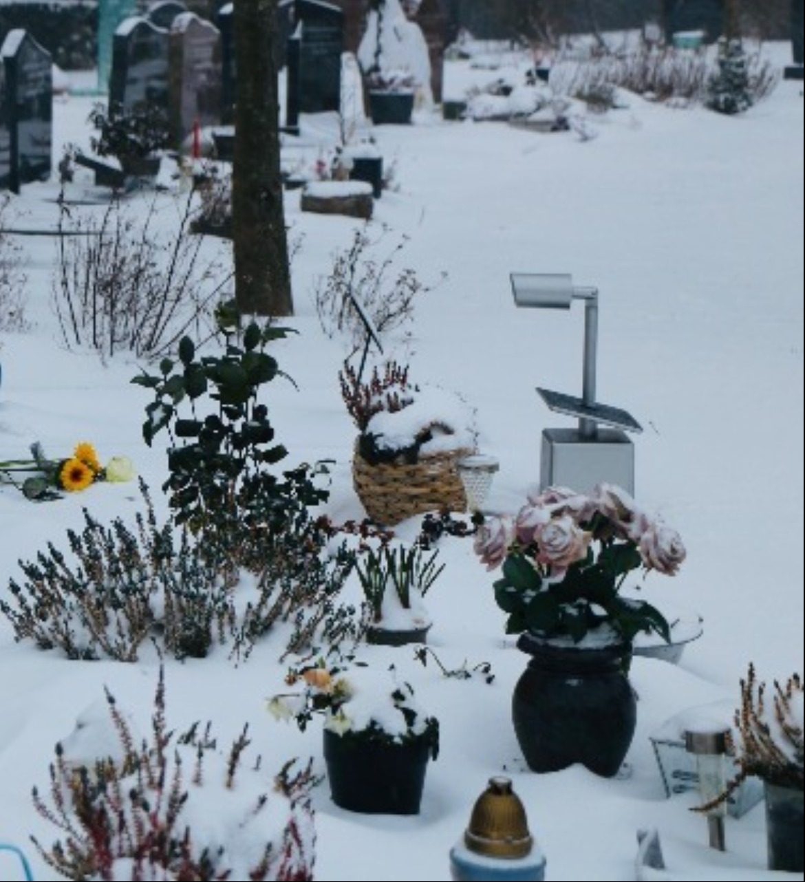 How to Care for a Loved Ones' Resting Place in the Winter